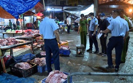Công an Hà Nội: Triệt phá thành công đường dây giết mổ, tiêu thụ thịt lợn nhiễm bệnh