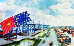 EVFTA giúp kim ngạch thương mại Việt Nam-EU tăng trưởng mạnh