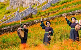 Lễ hội Hoa Dơn Thóc 2025: Biển hoa khoe sắc trên đỉnh Fansipan