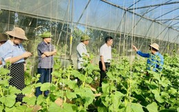 Thanh Hóa: Đẩy mạnh kích cầu tiêu dùng, phát triển thị trường nội địa