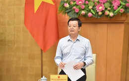 Chỉ còn 15 ngày đến sự kiện “chưa có tiền lệ”, Phó Thủ tướng giao nhiệm vụ quan trọng cho Vingroup