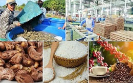 Xuất khẩu nông, lâm, thủy sản quyết tâm đạt 65 tỷ USD trong năm 2025