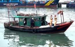 Quảng Ninh: Xử phạt gần 214 triệu đồng vi phạm giao thông đường thủy sau 10 ngày ra quân