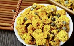 Sở Y tế Thanh Hóa thu hồi khẩn lô dược liệu Cúc hoa vàng vi phạm chất lượng
