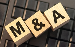 Thị trường M&A Việt Nam ghi nhận 34 thương vụ hoàn tất trong tháng 7/2025