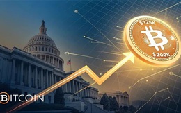 Giá Bitcoin hôm nay 15/8: Lượng tìm kiếm từ khóa “altcoin” tăng vọt