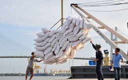 Nông sản Việt và tiềm năng lớn tại thị trường Nhật Bản