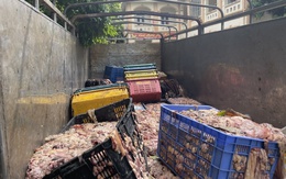 Rùng mình cảnh tượng bên trong thùng xe tải đang bốc mùi hôi thối ở Hà Nội