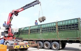 Quảng Trị: Xe chở hàng vượt tải trọng 429,29% bị phạt 333 triệu đồng