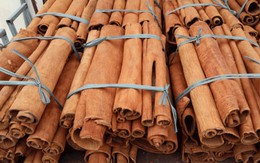 Xuất khẩu quế đạt kim ngạch gần 188 triệu USD trong 7 tháng