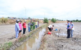 An Giang: Cảnh báo tình trạng dùng điện để bẫy chuột dẫn đến chết người