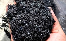 Biochar - "chìa khóa" giảm phát thải và phát triển nông nghiệp tuần hoàn