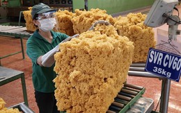 Xuất khẩu cao su giảm về lượng, nhưng tăng về trị giá