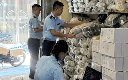 Hà Nội: Thành lập Ban Chỉ đạo 389 cấp xã, phường trong quý III năm nay