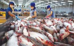 Khơi thông thị trường nội địa: Chiến lược phát triển bền vững ngành thủy sản Việt Nam