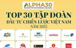 Lần đầu công bố Top 30 tập đoàn chiến lược Việt Nam