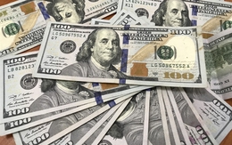 Tỷ giá USD hôm nay 21/8: Tỷ giá trung tâm tăng 10 đồng