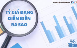 Tỷ giá có thể căng thẳng trong ngắn hạn