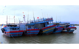 Thanh Hóa: Chủ động ứng phó với vùng áp thấp có khả năng mạnh lên thành bão