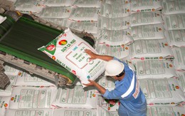 Triển vọng tích cực của ngành phân bón, hóa chất những tháng cuối năm