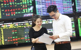 Dự báo 6 nhóm ngành dẫn dắt TTCK những tháng cuối năm 2025