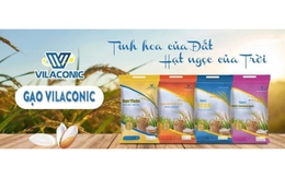 VILACONIC Group - Bản lĩnh từ thương hiệu vàng