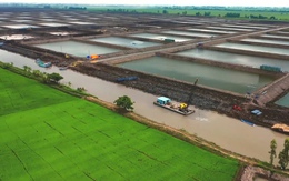UOB: 5 nhóm ngành hưởng lợi từ đầu tư xanh