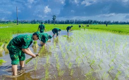 Biên phòng An Giang đẩy mạnh chiến dịch Thanh niên tình nguyện hè