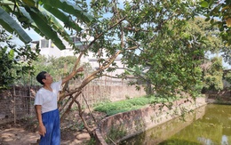 Hưng Yên: Người giữ “báu vật” làng và tinh thần học tập suốt đời