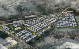 Hải Phòng: Thu hồi hơn 1.200 ha đất để triển khai 49 dự án quy mô lớn