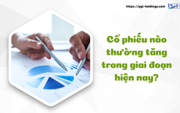 Cổ phiếu nào thường tăng trong giai đoạn hiện nay?