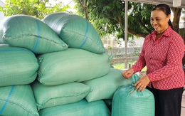 Hưng Yên: Người phụ nữ tần tảo và tình yêu mãnh liệt với cây lúa