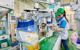 Nghệ An “vượt bão”, quyết tâm đạt mục tiêu tăng trưởng