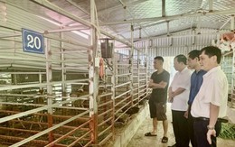 Nhìn từ mô hình “Nông dân dạy nông dân”, sản xuất kinh doanh giỏi