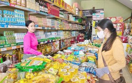 Chuyên gia: 'Áp thuế TNCN với cá nhân kinh doanh 17% chỉ nên nhắm đến nhóm siêu lợi nhuận'