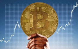 Giá Bitcoin hôm nay 13/9: Cá mập tích lũy 65.000 BTC trong một tuần