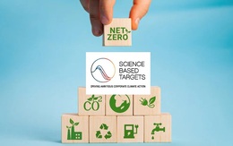 Số doanh nghiệp đặt mục tiêu Net Zero tăng hơn 220%