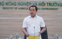 Thị trường gạo Việt Nam không chịu tác động lớn nhờ dự trữ và thị trường mới