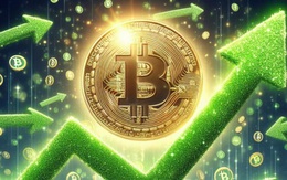 Giá Bitcoin hôm nay 15/9: Bitcoin tích lũy, báo hiệu tiềm năng đột phá