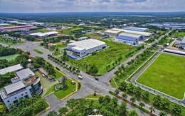 Hà Nội: Hướng dẫn giảm 30% tiền thuê đất năm 2025