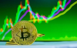 Giá Bitcoin hôm nay 16/9: 92% nguồn cung Bitcoin đang sinh lời