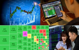 Dòng tiền nội dẫn dắt thị trường chứng khoán Việt Nam