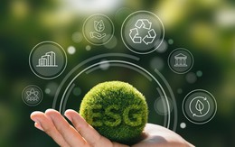 Sự khác biệt của hai quỹ mở ESG tại Việt Nam