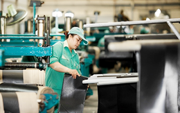 IMF hạ dự báo tăng trưởng GDP Việt Nam 2025 xuống 6,5%