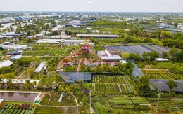 Đồng Tháp: Khởi động Festival Hoa - kiểng Sa Đéc lần thứ 2