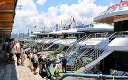 Quảng Ninh: Phát động Chiến dịch kích cầu du lịch năm 2025