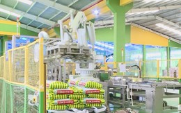 Doanh nghiệp Thanh Hóa: Tối ưu hóa năng suất lao động nhờ ứng dụng công nghệ số