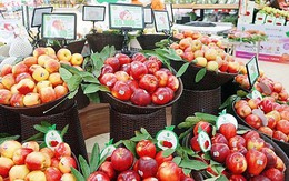 Rau quả Mỹ và Chi Lê nhập khẩu về Việt Nam bất ngờ tăng mạnh