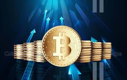 Giá Bitcoin hôm nay 22/9: Tâm lý nhà đầu tư ở trạng thái cân bằng