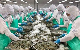 Thủy sản Việt Nam đang khẳng định vị thế tại thị trường Nhật Bản